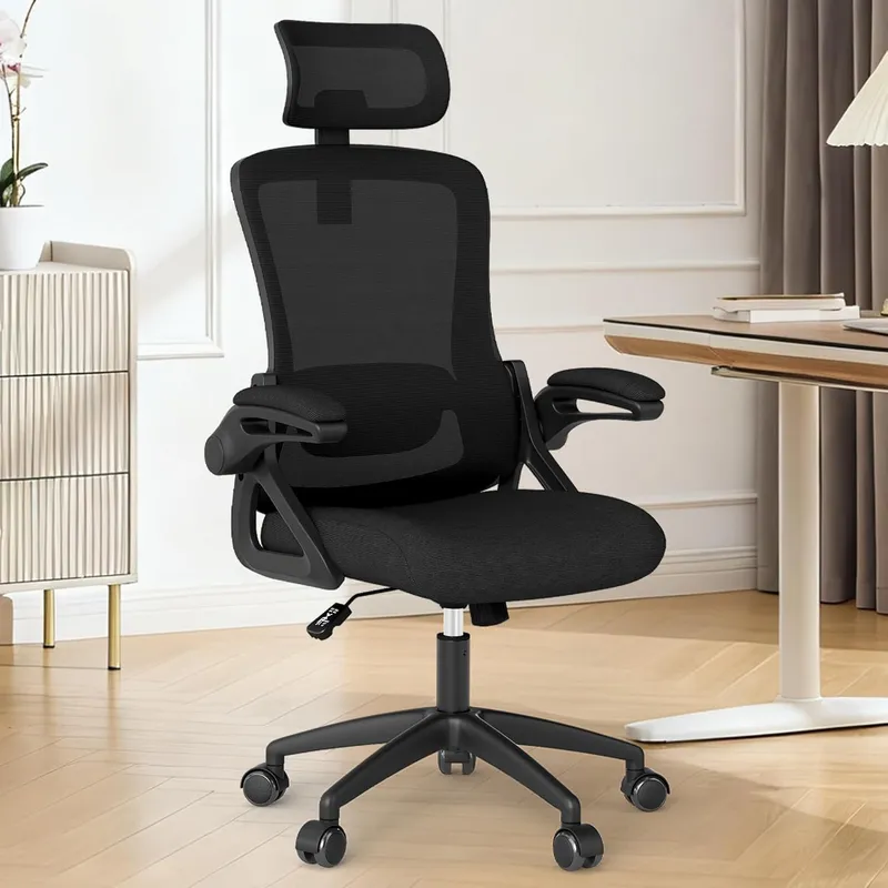 Fizzin Ergonomic Office Chair, Deep Black