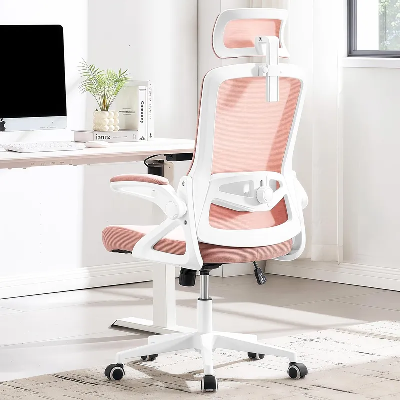 Fizzin Ergonomic Office Chair, Pink
